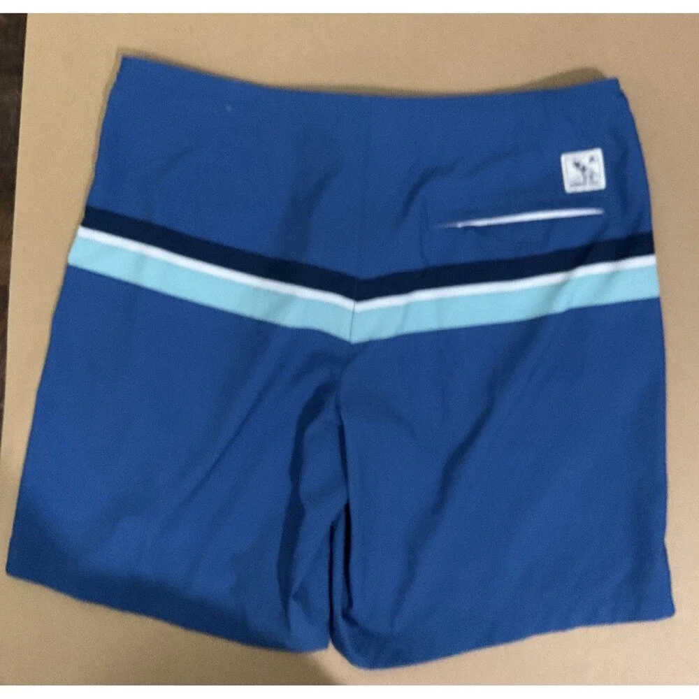 American Eagle Men's Blue Striped Board Shorts
